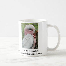 Caneca De Café Australiano Galah (Cockatoo cor-de-rosa de