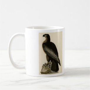 Caneca De Café Ave de Washington das Aves da América de Audubon