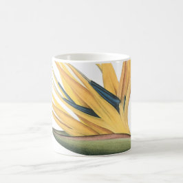 Caneca De Café ave-do-paraíso (Strelitzia reginae) por Redouté