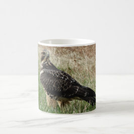 Caneca De Café B52 Falcão-de-swainson