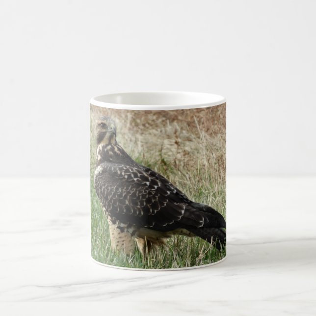 Caneca De Café B52 Falcão-de-swainson (Centro)