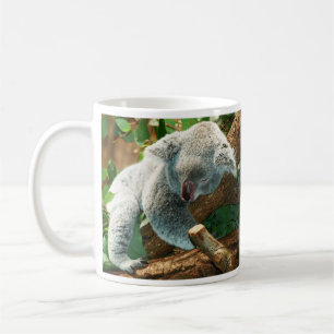 Caneca De Café Baby Koala Bear Dormindo em Tree Mug