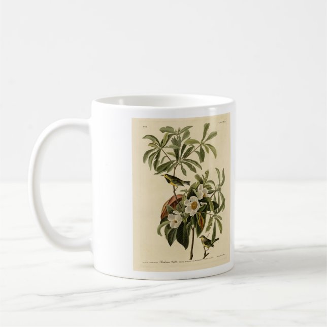 Caneca De Café Bachman's Warbler, das Aves da América de Audubon (Esquerda)