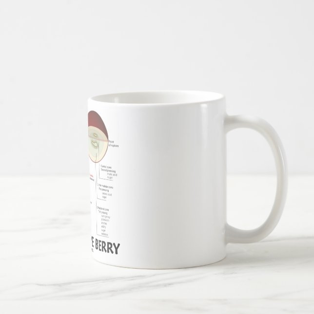 Caneca De Café Baga da uva para vinho (anatomia) (Direita)