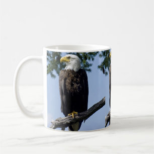 Caneca De Café Bald Eagle Mugs