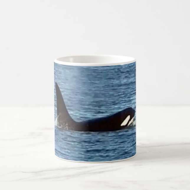 Caneca De Café Baleia Assassina da Costa Oeste "Aquarius" Orca Mu (Centro)