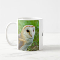 Barn Owl Mug