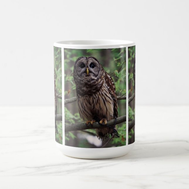 Caneca De Café Barred Owl (Centro)
