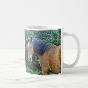 Caneca De Café Bay New Forest Pony de Hampshire, Inglaterra