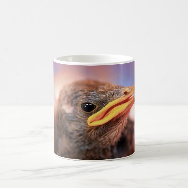 Caneca De Café Bebê (Centro)