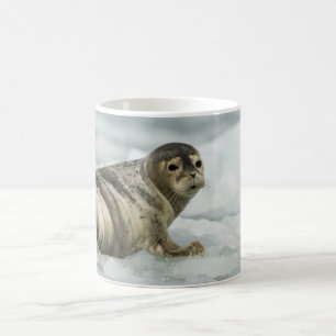 Caneca De Café Bebê Foca Preciosa
