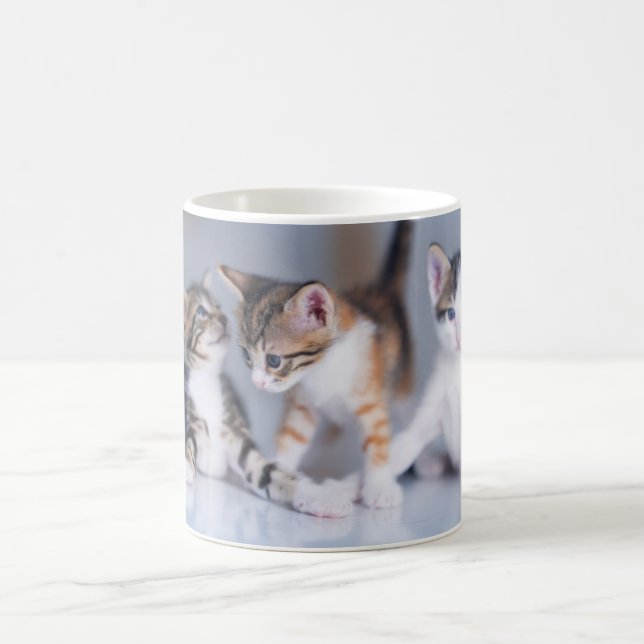 Caneca De Café Bebês Mais Pobres | 3 Gatinhos Tabby (Centro)