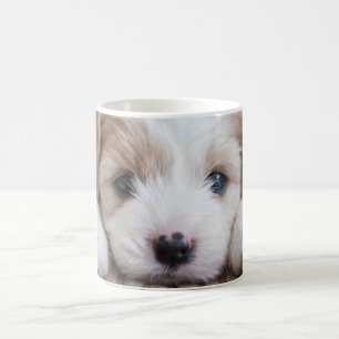Caneca De Café Bebês Mais Pobres Cavashon Puppy