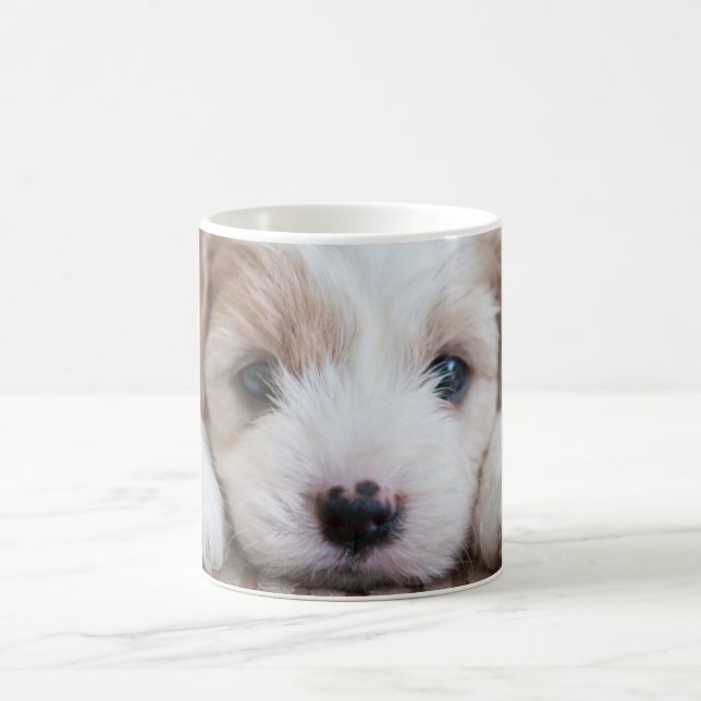 Caneca De Café Bebês Mais Pobres | Cavashon Puppy (Centro)