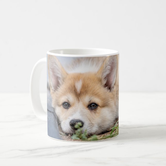 Caneca De Café Bebês Mais Pobres | Corgi Lay in the Yard (Frente Esquerda)