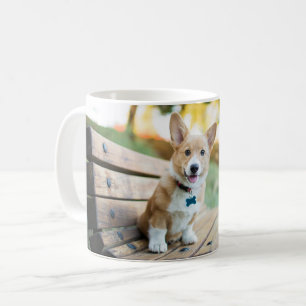 Caneca De Café Bebês Mais Pobres Corgi Puppy num banco de estac