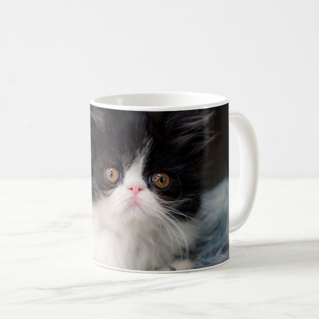 Caneca De Café Bebês Mais Pobres | Fluffy B&W Kitten (Frente Esquerda)