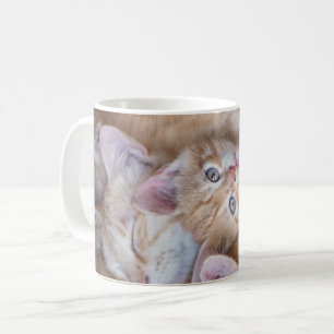 Caneca De Café Bebês Mais Pobres Película De Gato Laranja
