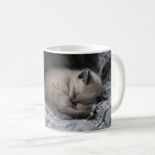 Caneca De Café Bebês Mais Pobres Pequeno Gato Dormindo