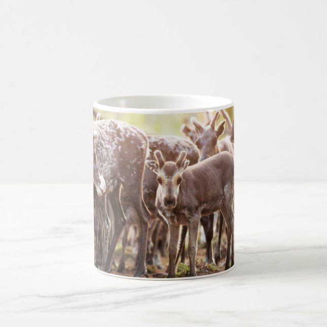 Caneca De Café Bebês Mais Pobres | Svalbard Reindeer (Centro)