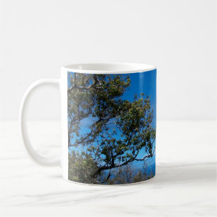 Caneca De Café Bebida Havaí acima