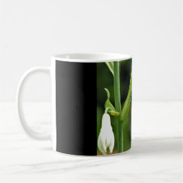 Caneca De Café Beija