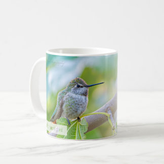 Caneca De Café Beija-flor-de-cauda-larga-fêmea Salmo 70:4 ARC