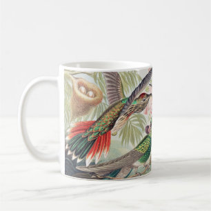 Caneca De Café Beija-flor, Trochilidae Kolibris por Ernst Haeckel