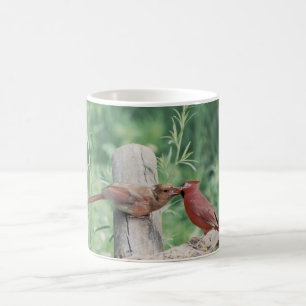 Caneca De Café Beijando cardeais