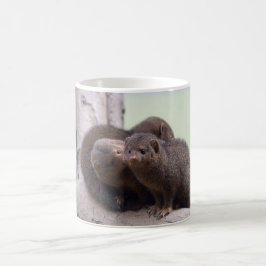 Caneca De Café Beijo do mangusto do anão