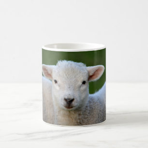Caneca De Café Bela ovelha