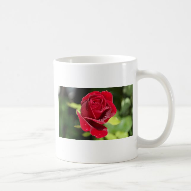 Caneca De Café Bela Rosa Vermelha Profunda (Direita)
