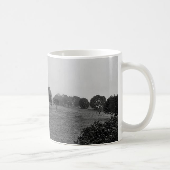 Caneca De Café Belas árvores e natureza no nevoeiro (Direita)