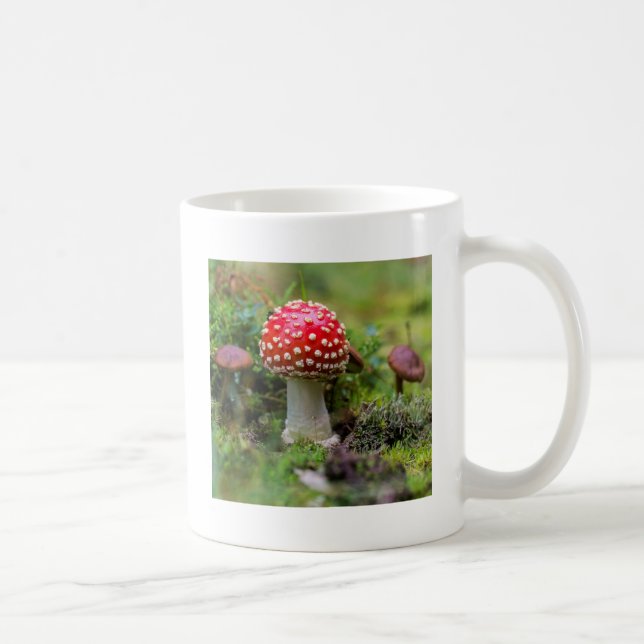 Caneca De Café Beleza de Outono (Direita)