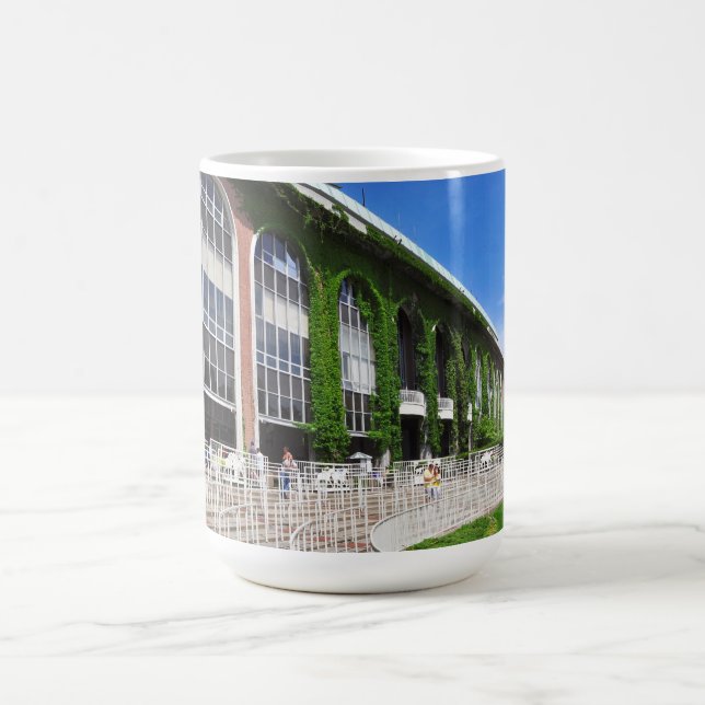 Caneca De Café Belmont Park bonito (Centro)