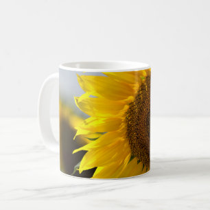 Caneca de Café - Belo Girassol Amarelo Closeup