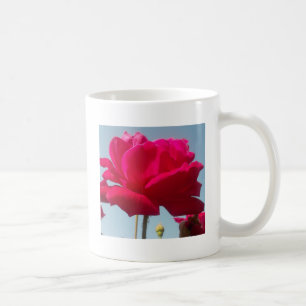 Caneca De Café Belo Rosa Celestial Vermelho Belo Contra Azul