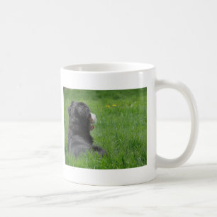 Caneca De Café Bernese Mountain Dog