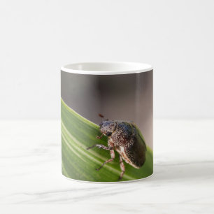 Caneca De Café Besouro 01