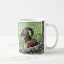 Bighorn Mug