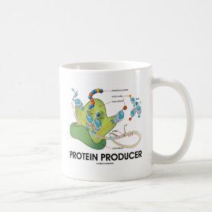 Caneca De Café Biologia Do Produtor De Proteínas Síntese De Pro