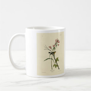 Caneca De Café Blackburnian Warbler - Aves da América da Audubon