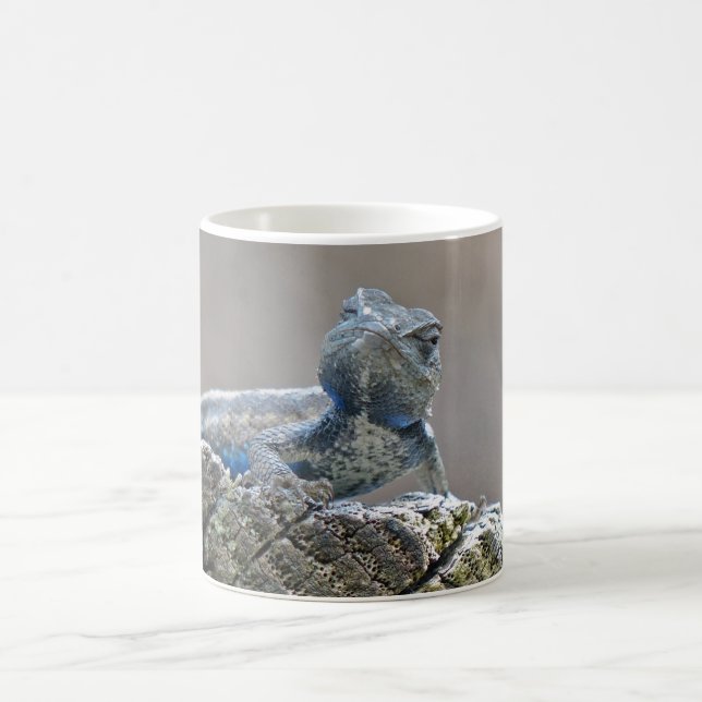 Caneca De Café Blue Belly Alligator Lizard Coffee Mug (Centro)