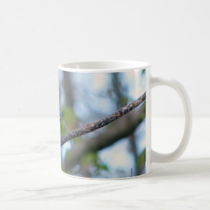 Caneca De Café Blue Jay