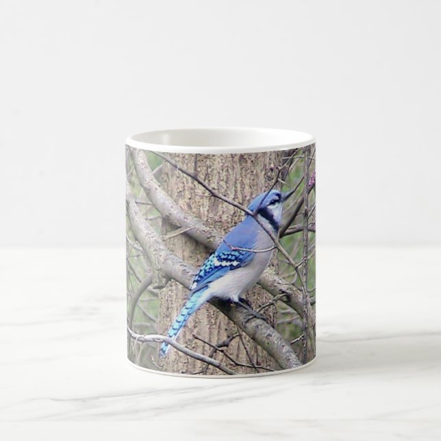 Caneca De Café Blue Jay (Ohio) Mug (Centro)