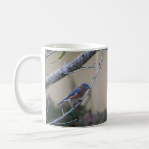 Caneca De Café Bluebird no Branch Eastern Bluebird Amantes