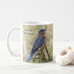 Caneca de Café Bluebird por BirdingCollectibles