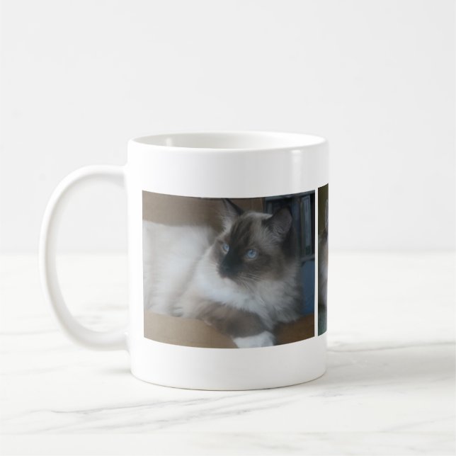Caneca de café bonita do gato de Hymalayan Ragdoll (Esquerda)
