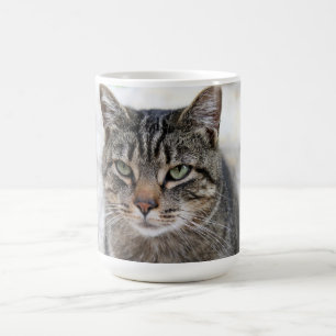 Caneca De Café Bonita, doce, adorável, gato Mug