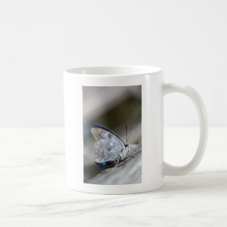 Caneca De Café Borboleta Cinza Azul